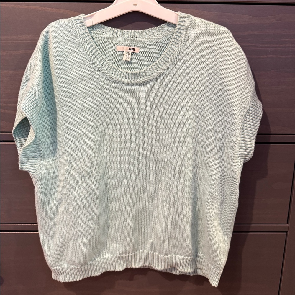 Amuse Society Light Blue Sweater